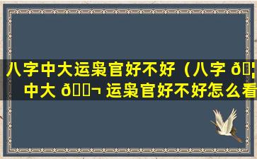 八字中大运枭官好不好（八字 🦟 中大 🐬 运枭官好不好怎么看）